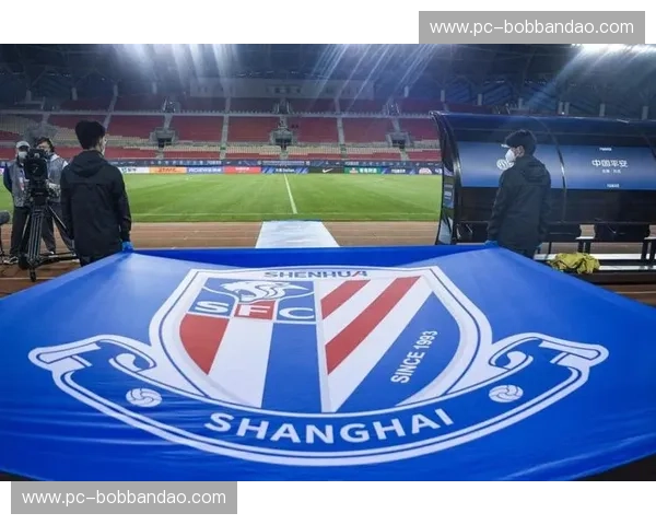 重燃绿茵烽火：恒大vs申花经典录像，带你重温中国足球的黄金时代